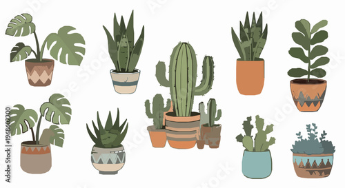 Vibrant Illustrated Indoor Desert Succulent Plants Collection Art