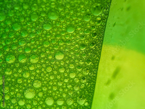 Wallpaper Mural Macro close-up of dew drops on a vibrant green leaf with a blurred background and shallow depth of field. Torontodigital.ca