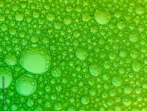 Wallpaper Mural Extreme close-up of numerous green bubbles of various sizes on a green surface with a white background Torontodigital.ca