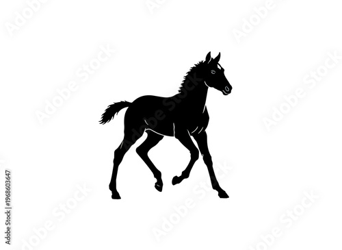 Young horse foal running silhouette. Equestrian and Derby hopeful concept. Vector illustration isolated on transparent background