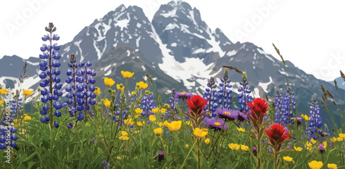 Vibrant wild lupines, yellow buttercups, and red Indian paintbrush blanket a lush meadow set against majestic snow-capped mountains.