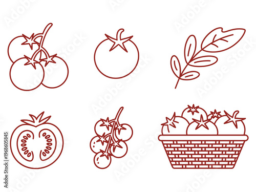 Tomato set outline sketch vector illustration