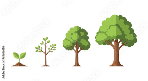 A visual progression depicts a tree s life cycle from seedling to maturity rendered in a clean silhouette high quality professional detailed