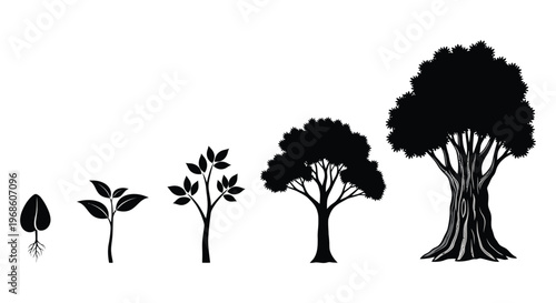 A graphic depiction illustrates the life cycle of a tree from seed to mature growth in silhouette high quality professional detailed
