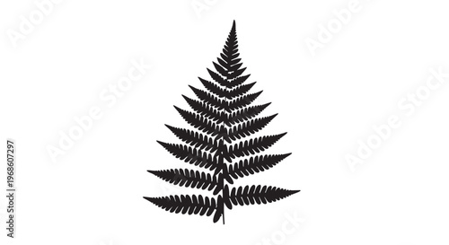 Black fern leaf, vector fern icon, botanical illustration, leafy foliage
