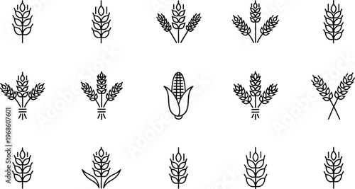 Wheat and grain line icons set featuring barley corn cereal agriculture harvest symbols for farming food production organic design vector collection