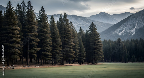 Lush green meadow bordered by tall pine trees with a backdrop of rugged mountains.