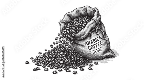Burlap sack overflowing with roasted arabica coffee beans ink engraving line black png