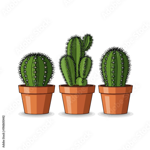 Three potted cactuses isolated on a white background with subtle shadows