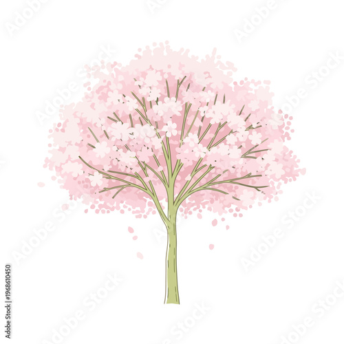 Vibrant pink cherry blossom tree illustration, representing springtime bloom and natural beauty