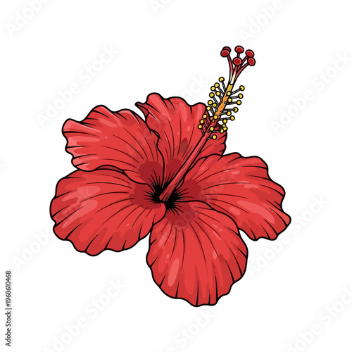 Vibrant red hibiscus flower illustration, a captivating tropical blossom with delicate petals