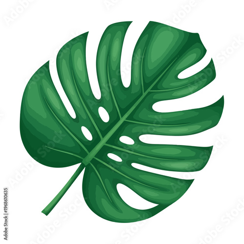 Vibrant green tropical plant leaf illustration, embodying a lush natural design concept perfect for various botanical-themed projects