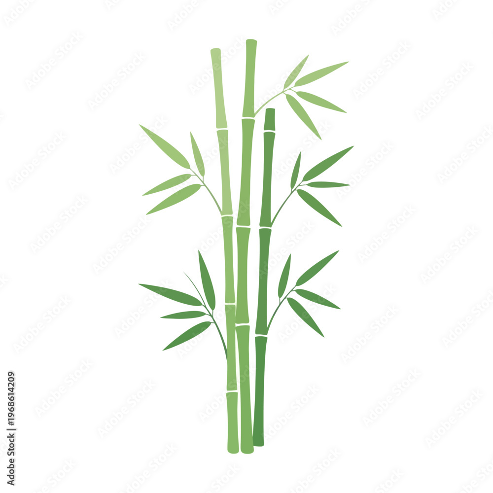 Fototapeta premium Vibrant green bamboo plant illustration symbolizing nature's tranquility and growth, featuring elegant stalks and fresh leaves perfect for design projects and zen concepts