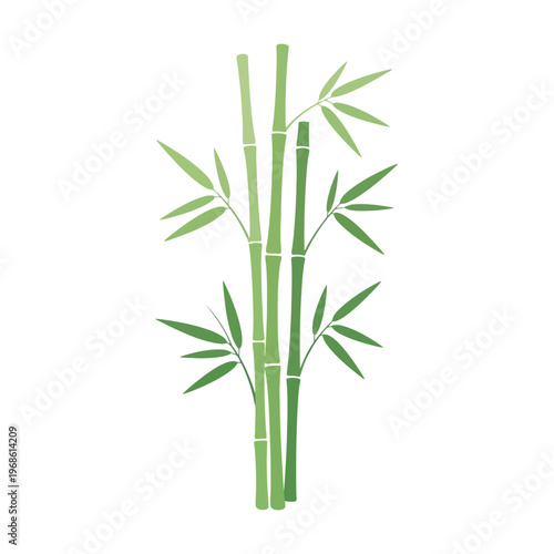 Vibrant green bamboo plant illustration symbolizing nature's tranquility and growth, featuring elegant stalks and fresh leaves perfect for design projects and zen concepts