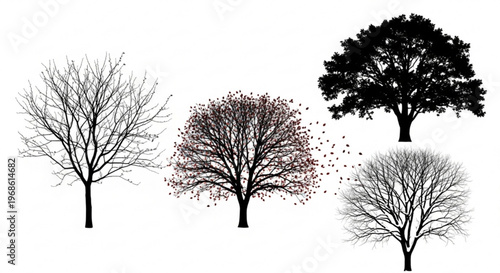 Four trees in different seasons with changing leaves on white background symbolizing growth and nature
