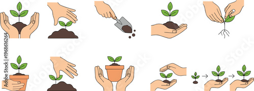 Educational vector illustration of plant growth process including soil, seedling, potting, roots, and nurturing stages