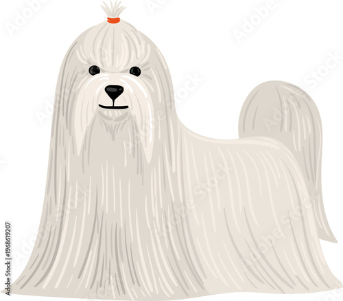 Maltese dog illustration with long white fur