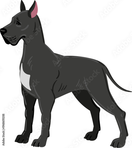 Great Dane dog standing looking sideways illustration
