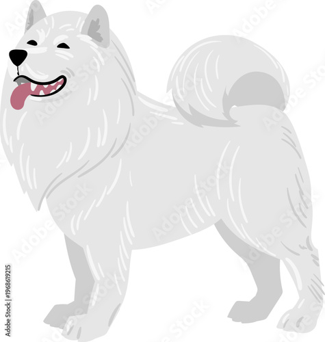 Happy Samoyed dog vector illustration on white background