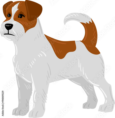 Jack Russell Terrier dog standing alert vector illustration