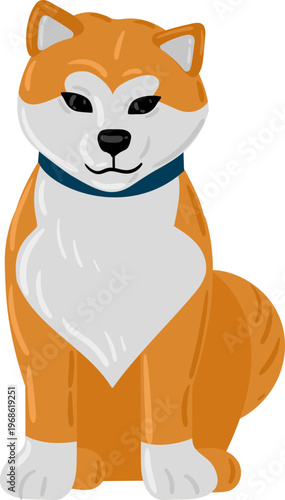 Shiba Inu dog sitting wearing blue collar illustration