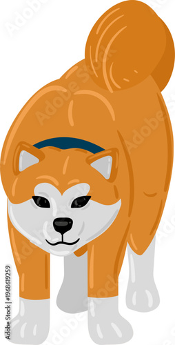 Akita dog walking with blue collar illustration