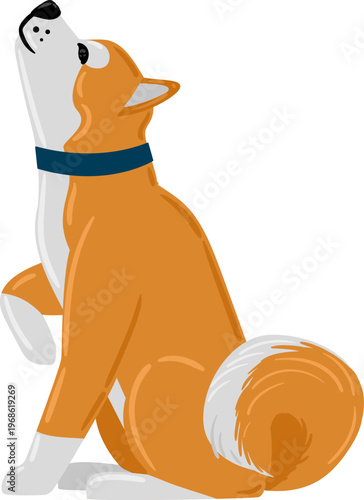 Dog looking up raising paw begging food