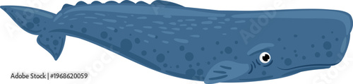 Sperm whale swimming ocean cartoon character illustration