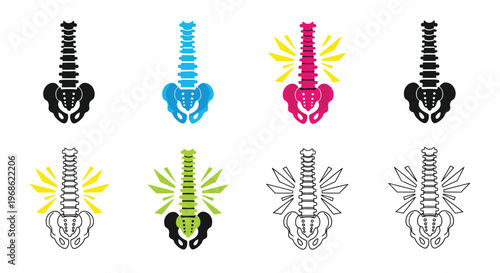 Anatomical illustrations of the human spine in various colors and styles