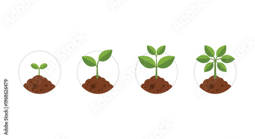 A visual representation of plant growth stages from seed to mature plant displayed in circular frames silhouette high quality professional detailed