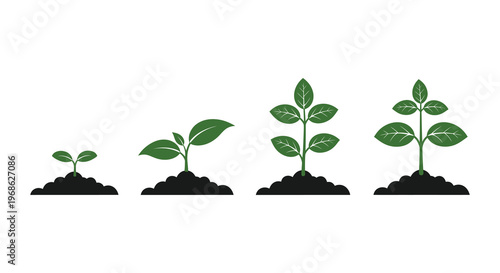 A series of green plant sprouts showcase progressive growth stages from seedling to mature plant in silhouette high quality professional detailed