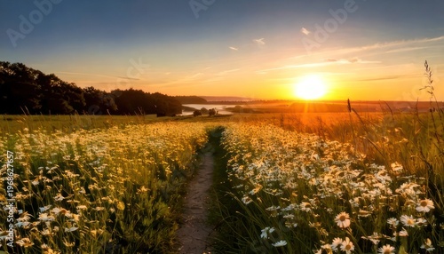 Golden hour over a daisy field with a path leading to the horizon.