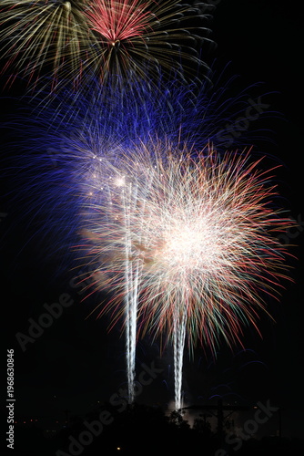 fireworks in the sky