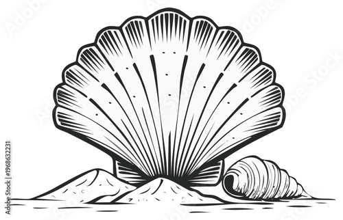 Engraved seashell illustration with sand dunes and smaller shell isolated