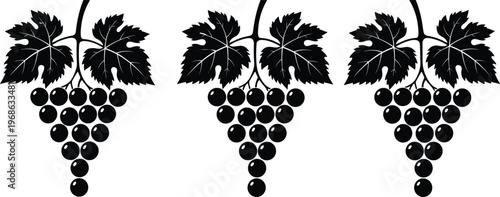 Grape bunch vector silhouette, black vine fruit icons with leaves, winery logo element, isolated summer harvest for wine label design, rustic.