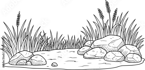 Hand Drawn of Grassy Shoreline with Rocks and Water Edge nature reeds