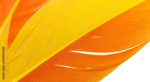 Vibrant gradient waves blending shades of orange and yellow with subtle white lines