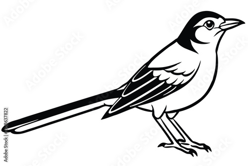 mockingbird silhouette line art vector illustration with a white background