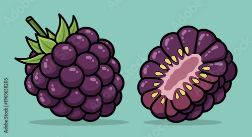 A colorful illustration of two blackberries on a green background, one whole and one cut in half, conveying freshness and health.