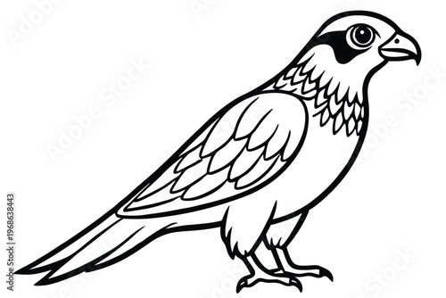 merlin bird silhouette line art vector illustration with a white background