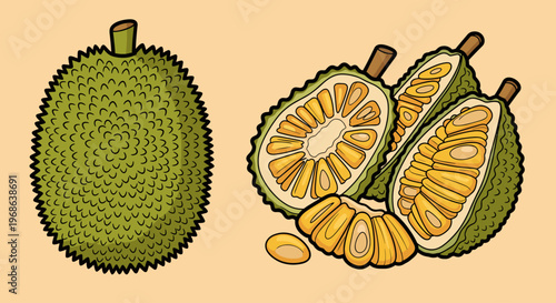 A colorful illustration of a whole and sliced durian fruit on a peach background, perfect for food or tropical-themed marketing materials.