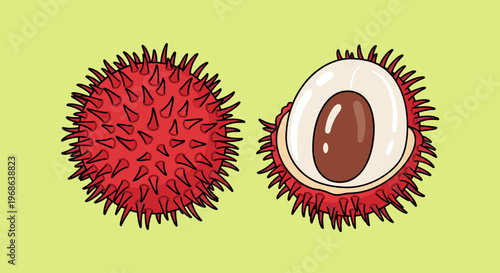 A colorful illustration of durian fruit, one whole and one cut open, showcasing its unique spiky exterior and creamy interior.