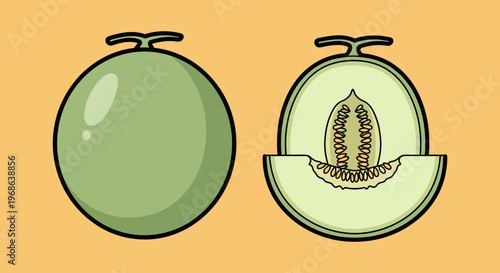 An illustration of a whole and halved green melon on a yellow background.