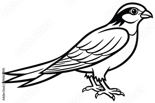 merlin bird silhouette line art vector illustration with a white background