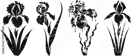 Black and white iris flowers silhouettes set with abstract and decorative styles