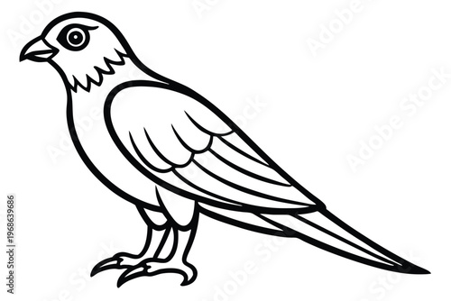 merlin bird silhouette line art vector illustration with a white background