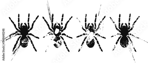 Silhouettes of four black spiders in various poses isolated on white background