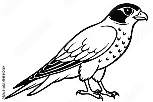 merlin bird silhouette line art vector illustration with a white background