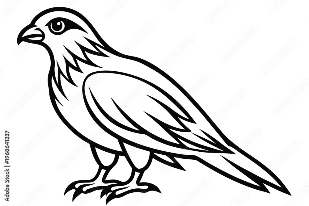 Fototapeta premium merlin bird silhouette line art vector illustration with a white background
