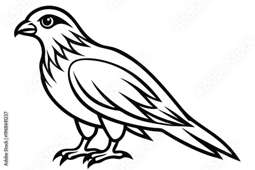 merlin bird silhouette line art vector illustration with a white background